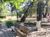 IMG 0063