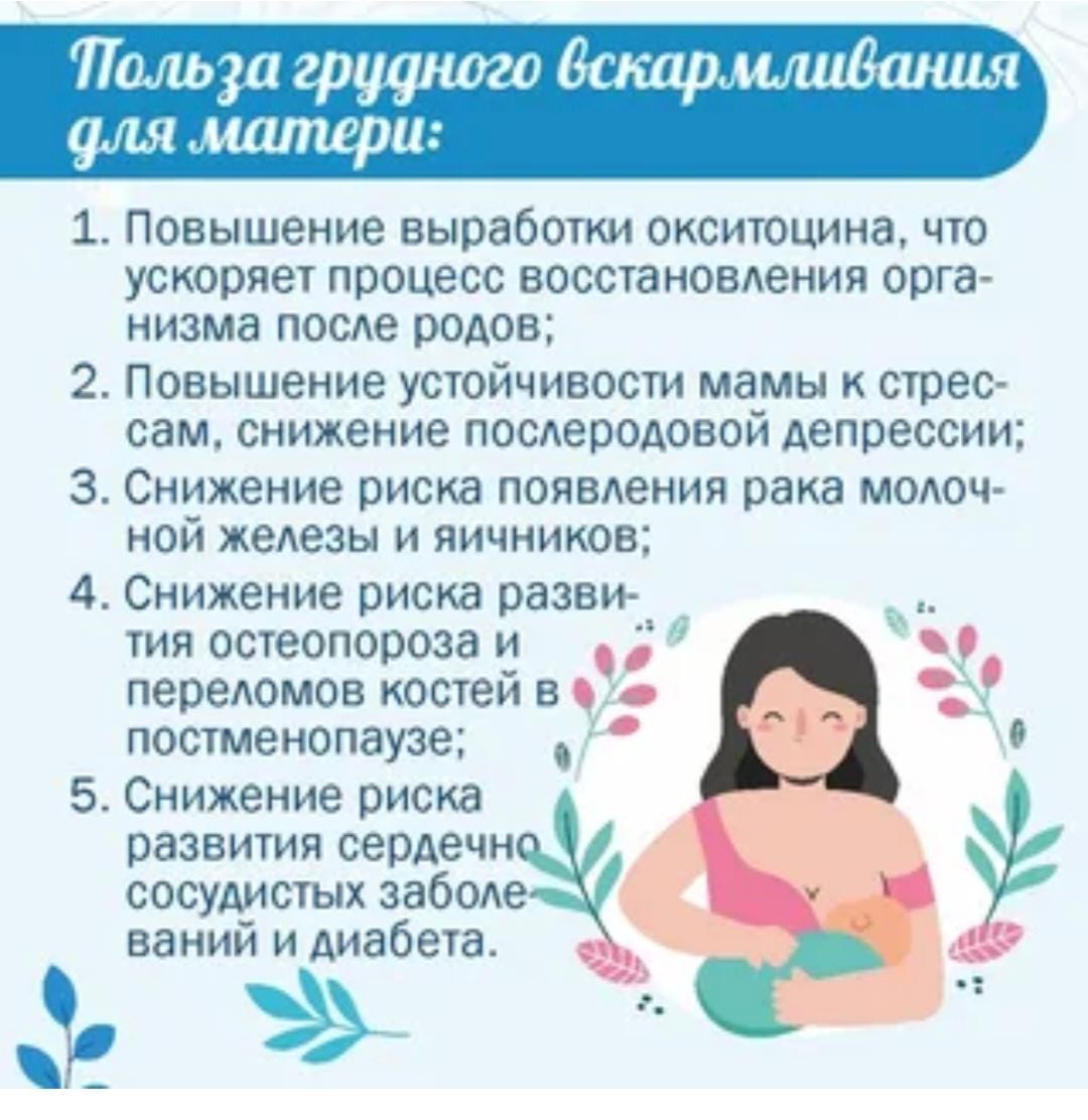 WhatsApp Image 2025 08 06 at 095526